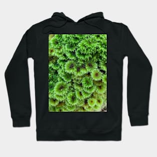 Umbrella moss Hoodie